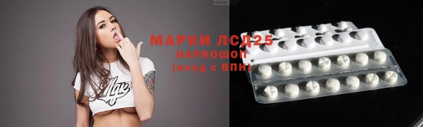 дживик Аркадак