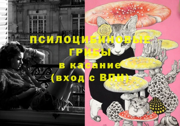 дживик Аркадак