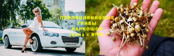 винт Арсеньев