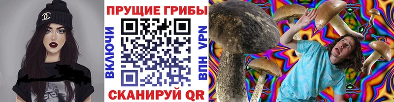 купить  цена  Межгорье  Галлюциногенные грибы прущие грибы 